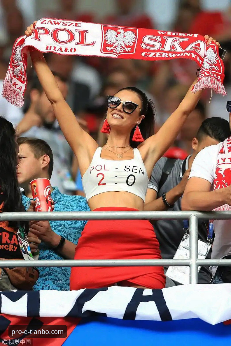 资深球迷分享：从贝里瓦尔的世界杯梦，看天博体育官网观赛新体验