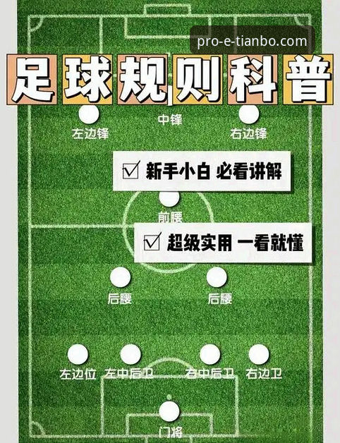 通过天博体育官网专业平台深度解析意大利队出局的操作教程